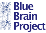 The Blue Brain Project The Blue Brain Project