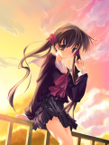 Ayame Ayame