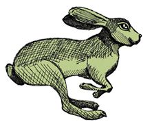 Green Rabbit Green Rabbit
